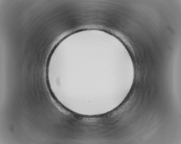 X0000110931237200907301617