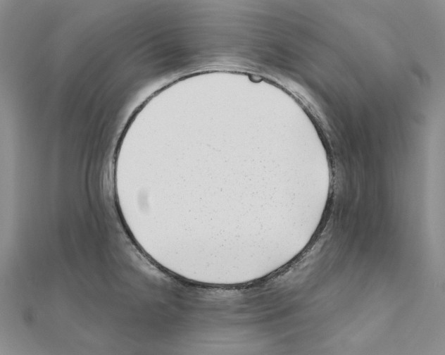 X0000110931238200907301617