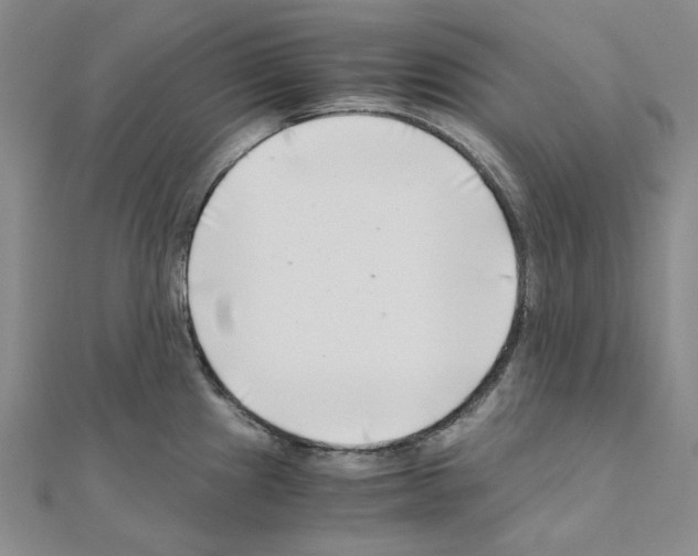 X0000110931241200907301617