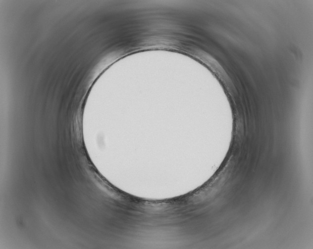 X0000110931242200907301617