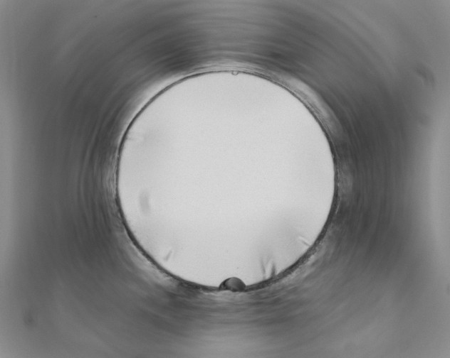 X0000110931244200907301617