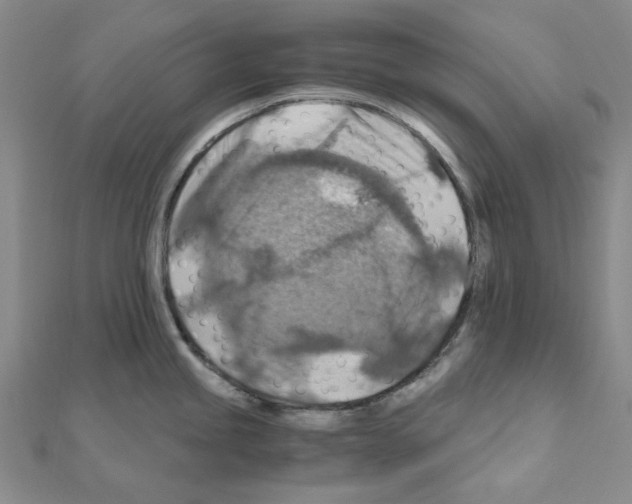 X0000110931245200907301617