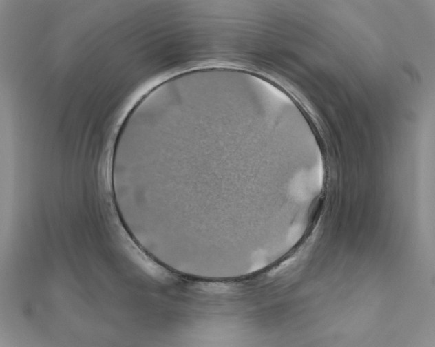 X0000110931246200907301617