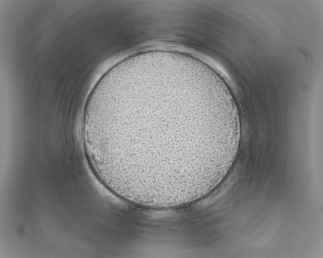 X0000110931247200907301617