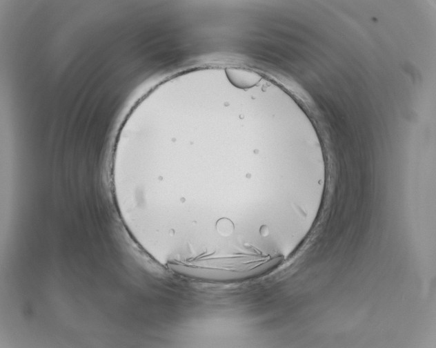 X0000110931248200907301617