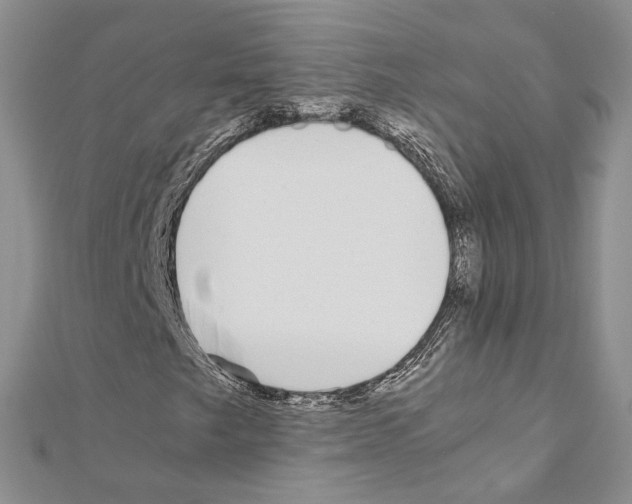 X0000110931249200907301616
