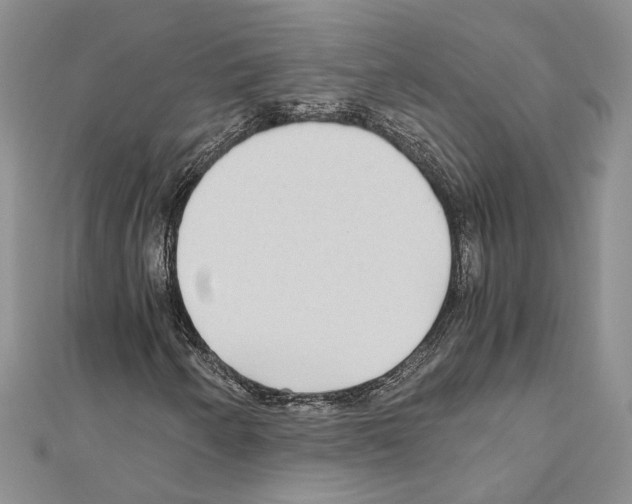 X0000110931250200907301616