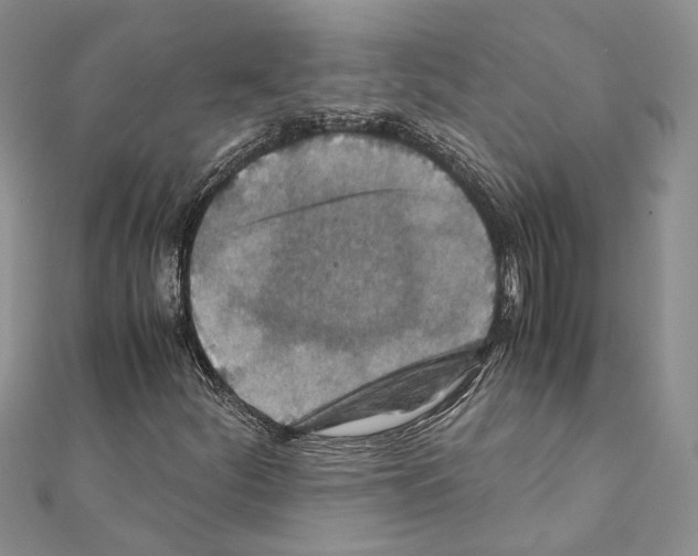 X0000110931252200907301616