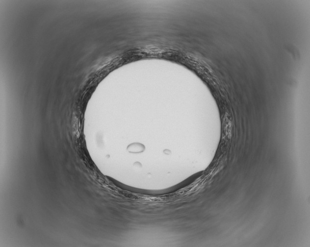 X0000110931253200907301616