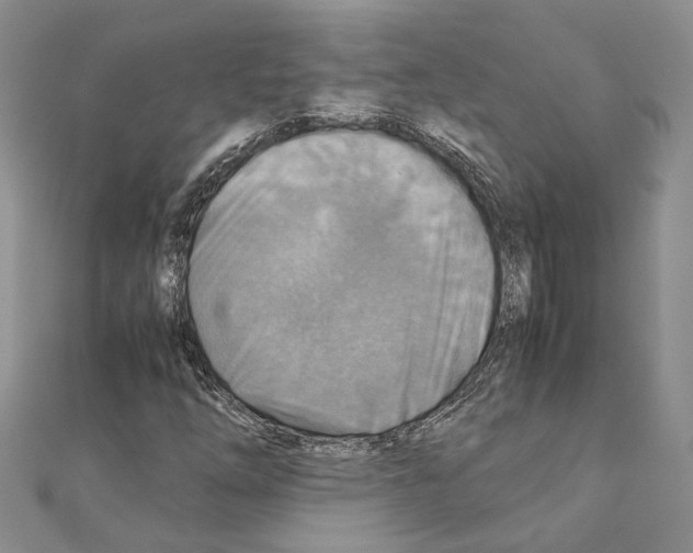 X0000110931254200907301616