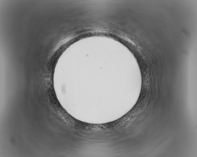 X0000110931255200907301616