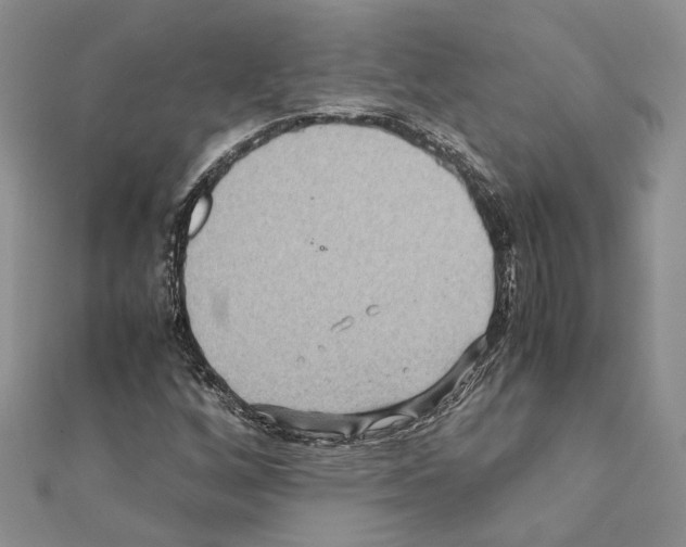 X0000110931256200907301616