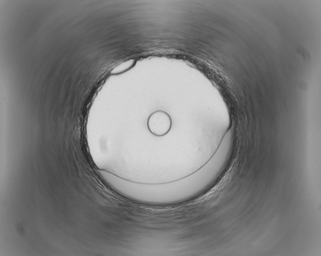 X0000110931257200907301616