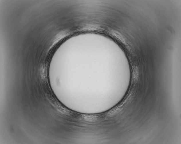 X0000110931258200907301616