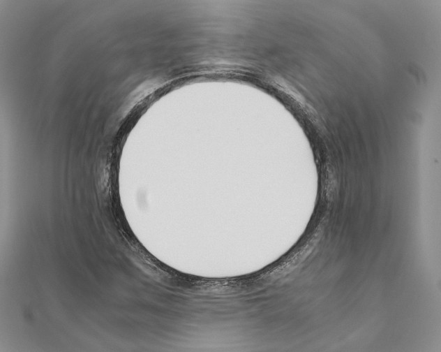 X0000110931259200907301616