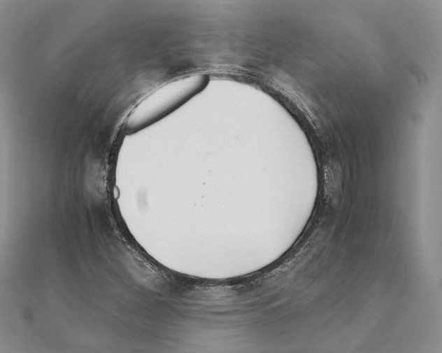 X0000110931260200907301616