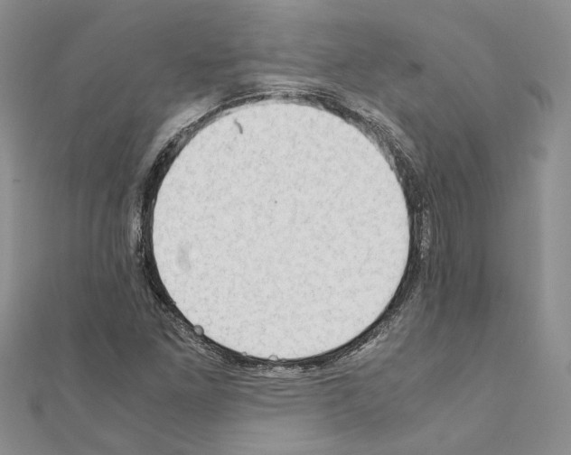 X0000110931261200907301616