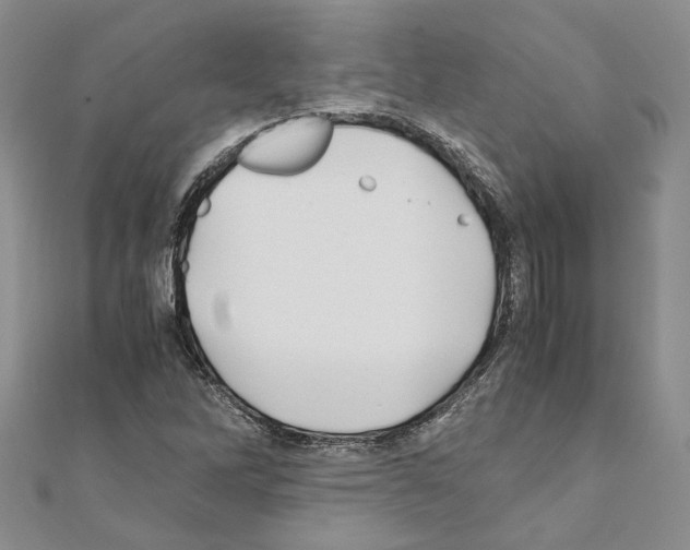 X0000110931262200907301616