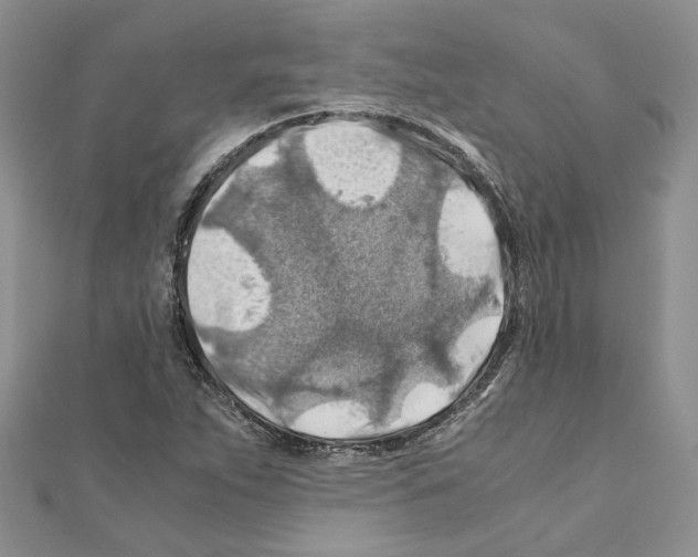 X0000110931263200907301616