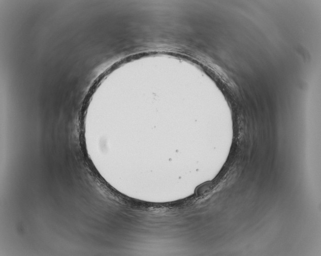 X0000110931264200907301616