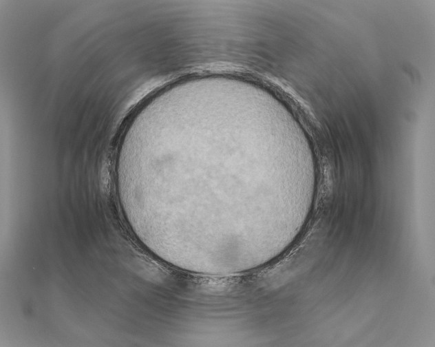 X0000110931266200907301616