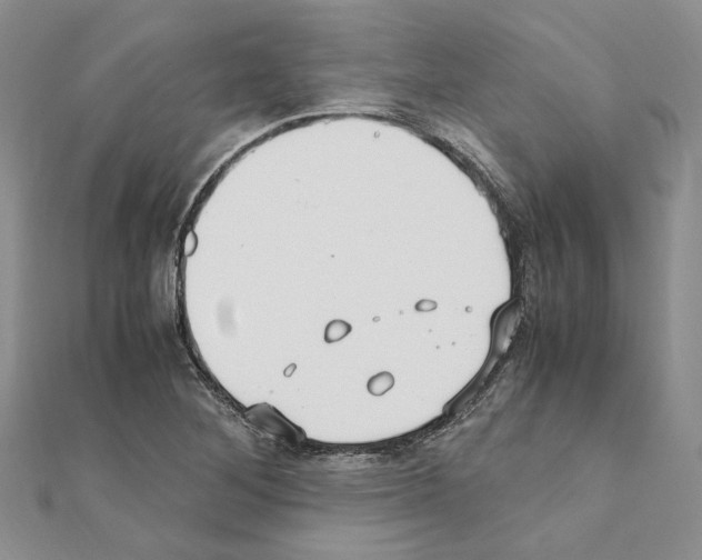 X0000110931268200907301616