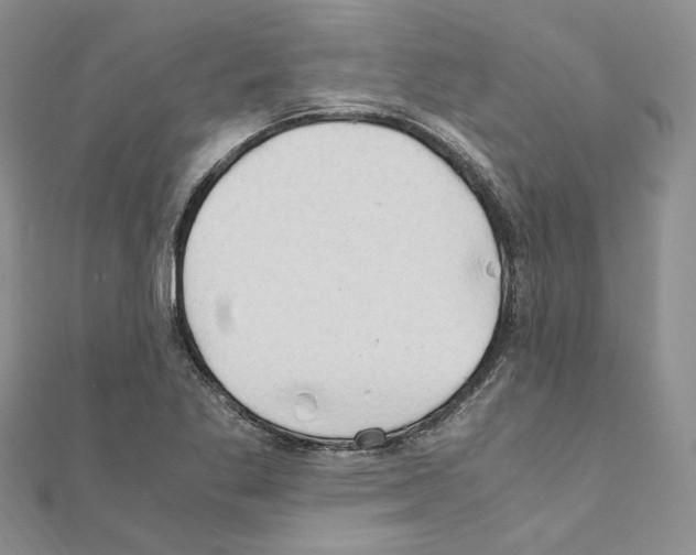 X0000110931269200907301616