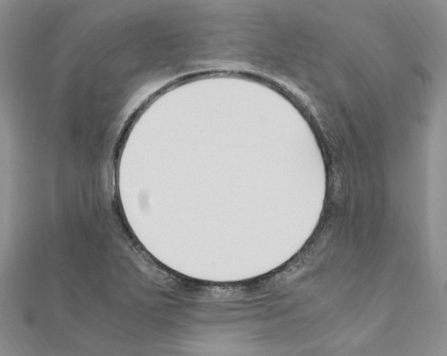 X0000110931271200907301616
