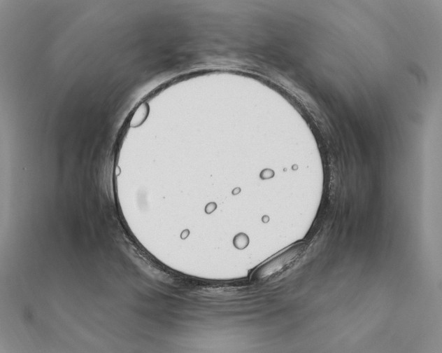 X0000110931272200907301616