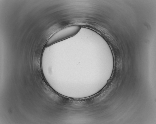 X0000110931273200907301616