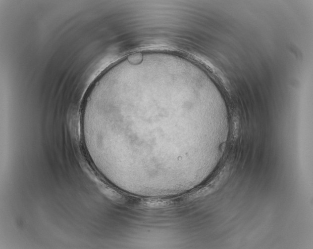 X0000110931274200907301616