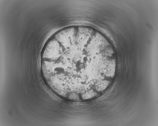 X0000110931275200907301616