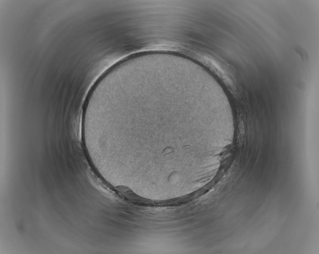 X0000110931276200907301616