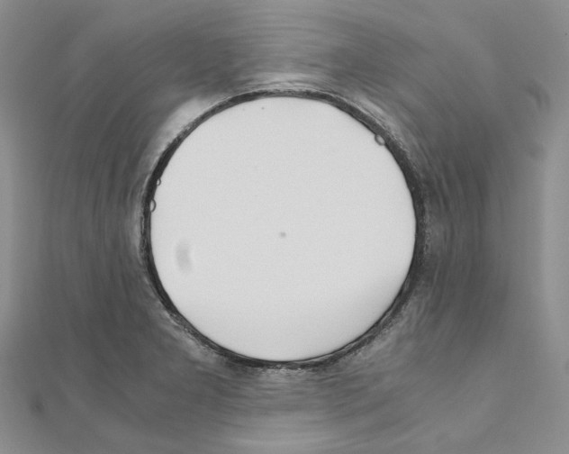 X0000110931277200907301616