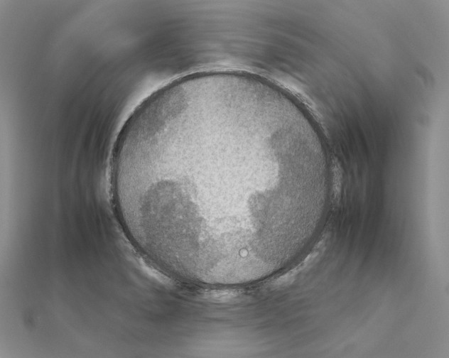 X0000110931278200907301616