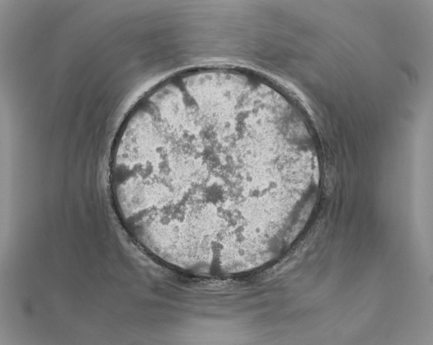 X0000110931279200907301616