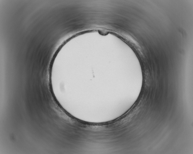 X0000110931280200907301616