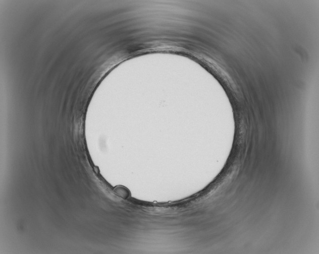 X0000110931281200907301616