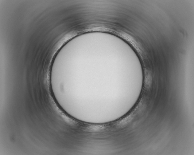 X0000110931282200907301616