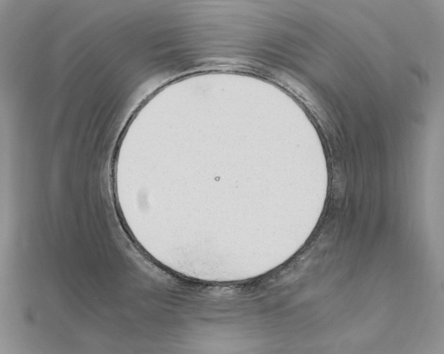 X0000110931283200907301616