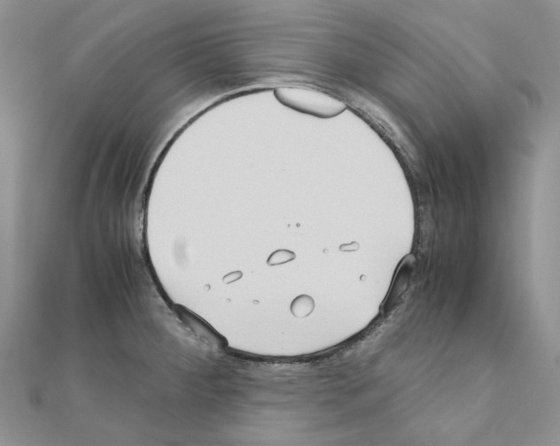X0000110931284200907301616