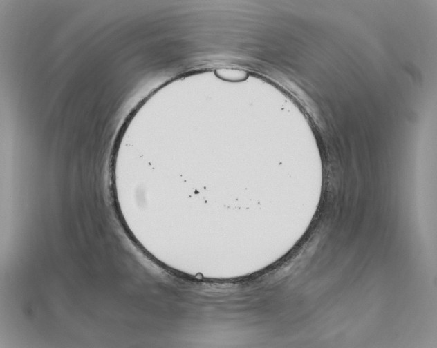 X0000110931285200907301616