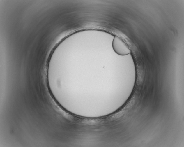 X0000110931286200907301616