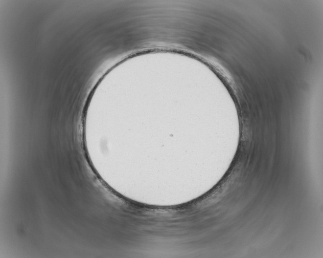 X0000110931287200907301616