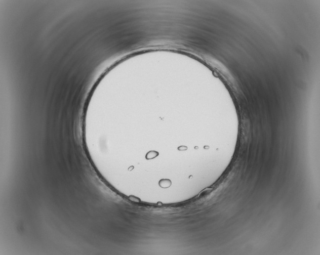 X0000110931288200907301616