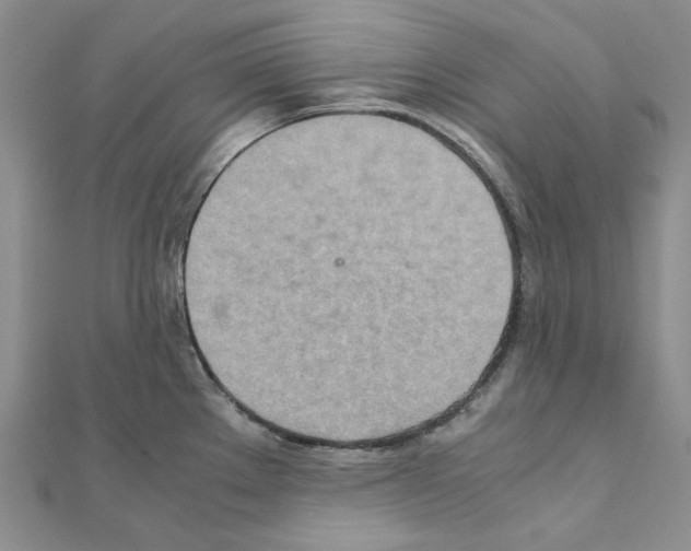 X0000110931289200907301616