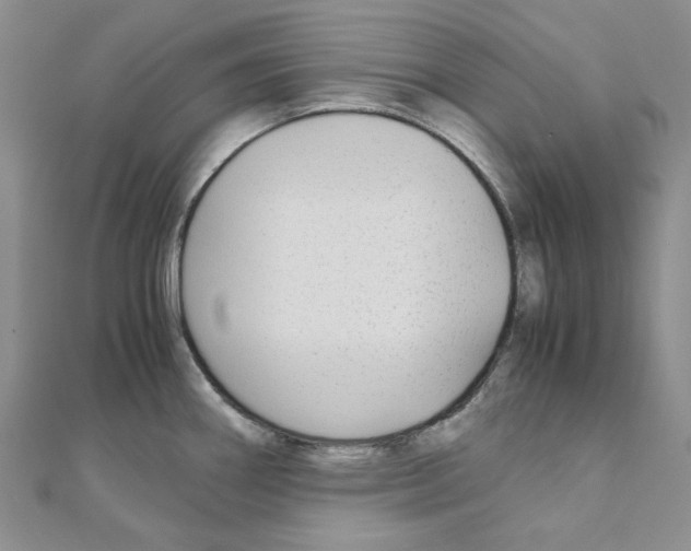 X0000110931290200907301616