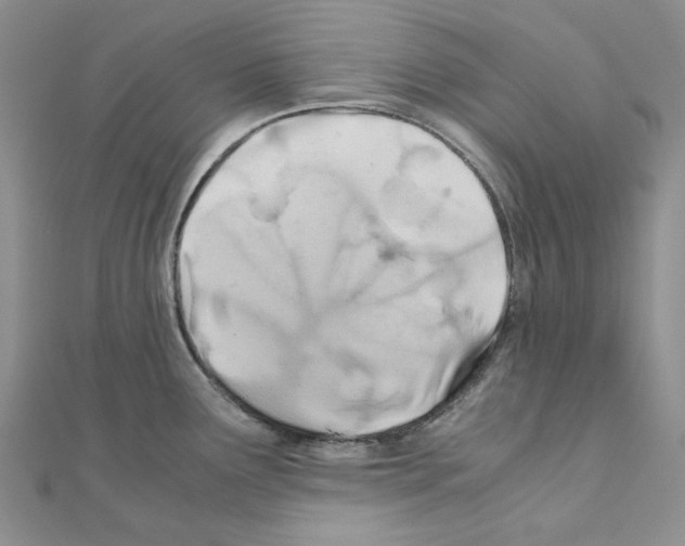 X0000110931291200907301615