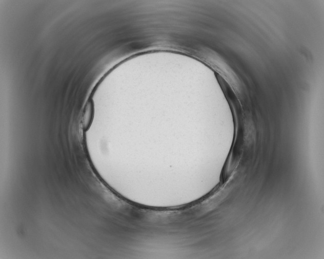 X0000110931292200907301615