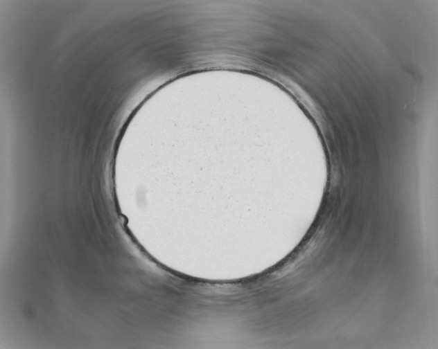X0000110931293200907301615